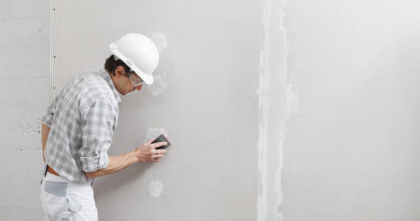 Best Emergency Mold Remediation  in Jacobus, PA