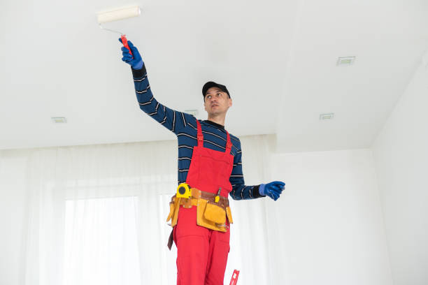 Trusted Jacobus, PA Mold Removal Experts