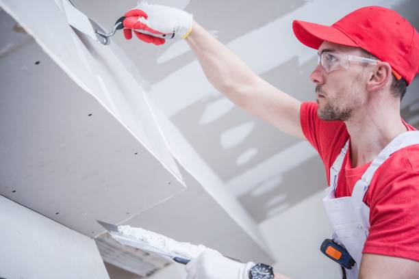 Best Post-Construction Mold Inspection  in Jacobus, PA